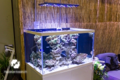 IMG_3040 copie