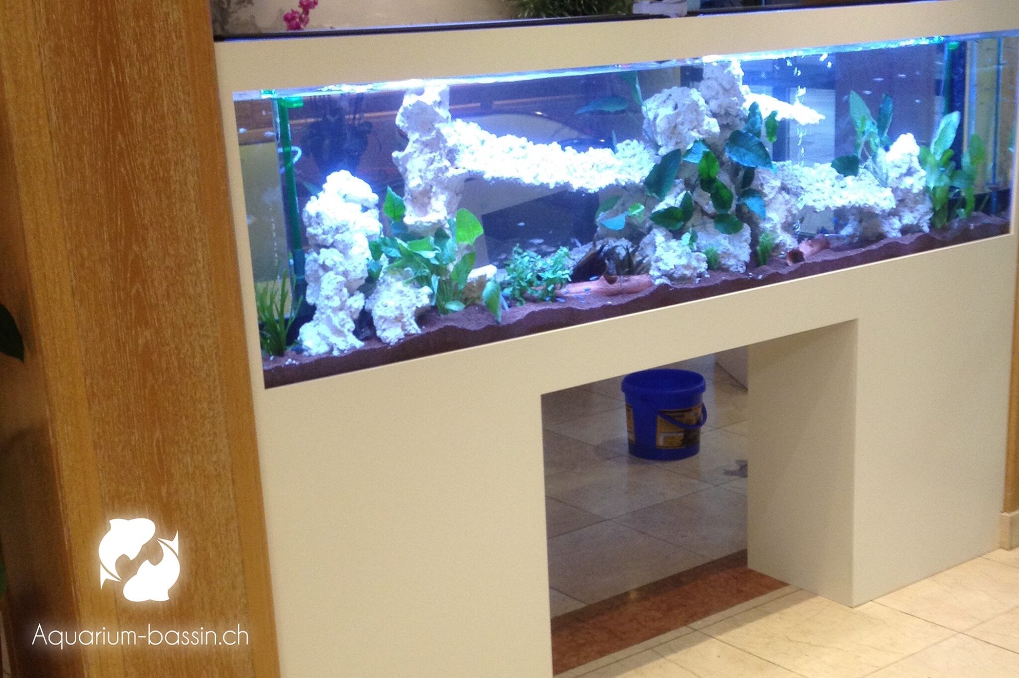 aquarium eau douce