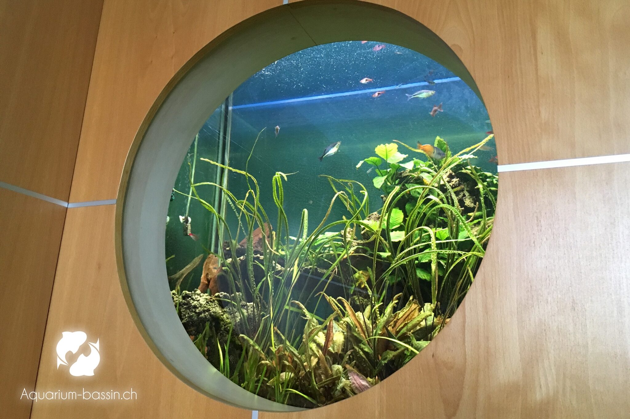 aquarium hublot