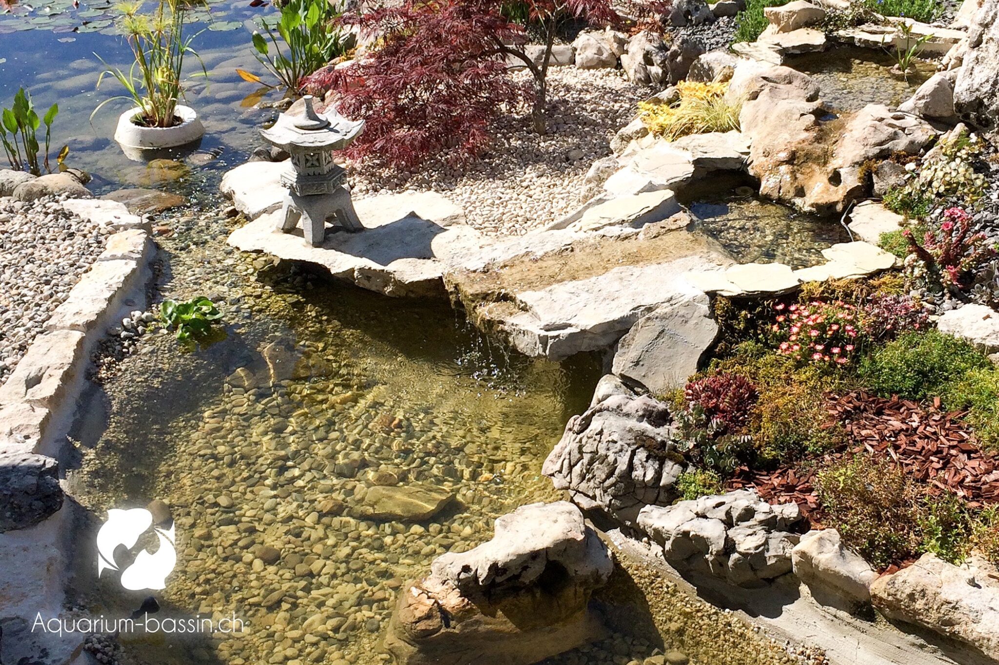 bassin naturel roches et plantes