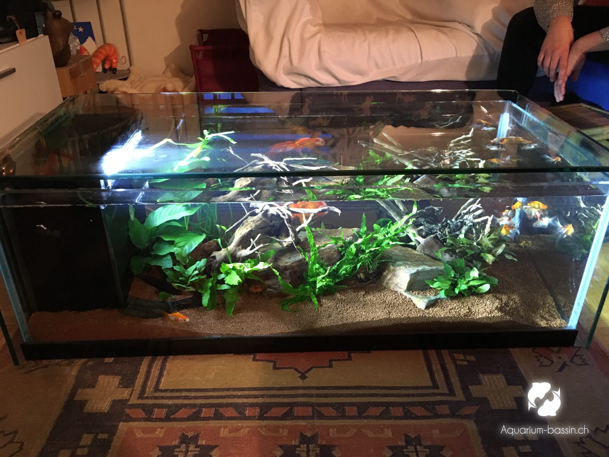 table basse aquarium