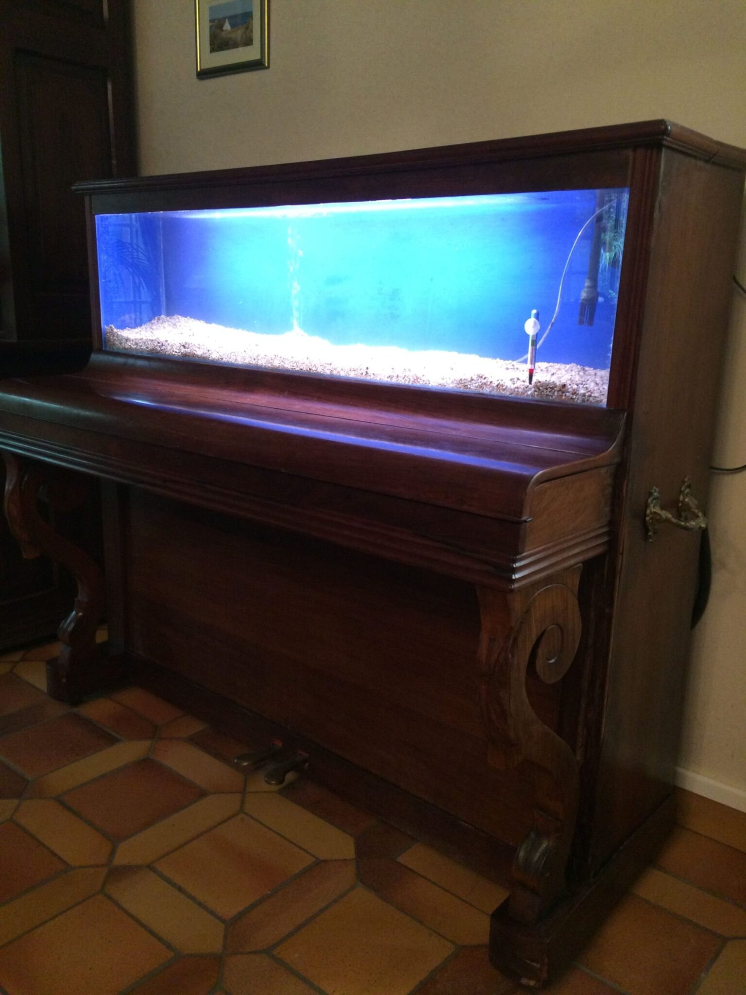 Aquarium intégré dans un meuble en bois, avec éclairage bleu et gravier au fond, créant une ambiance apaisante.